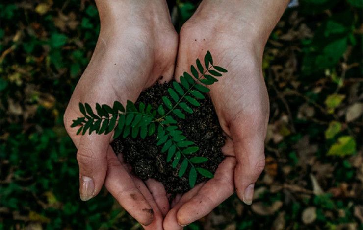Sustainable 