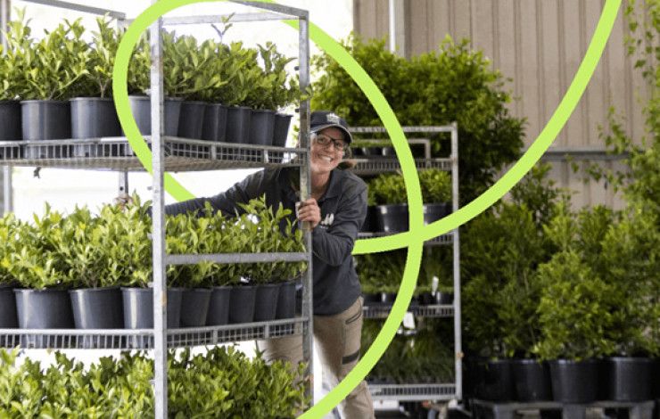 Lady moving plants on a trolley