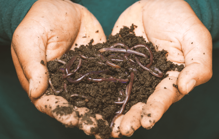 composting