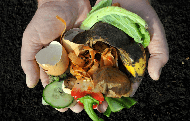 compost