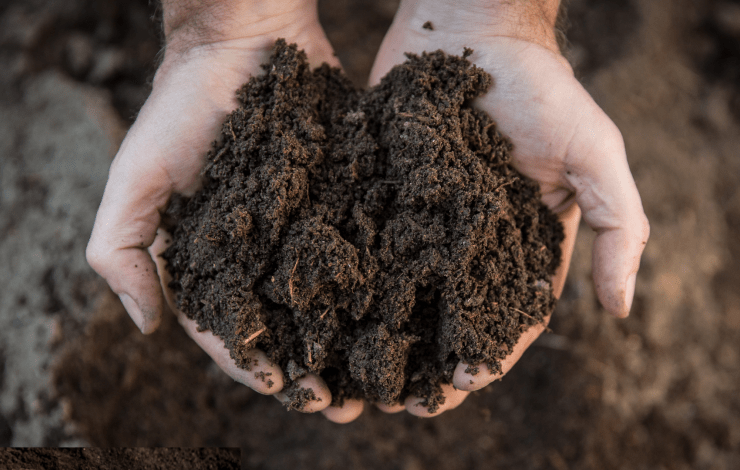 Soil
