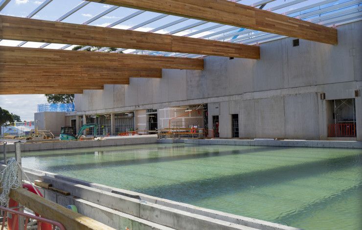 50m pool