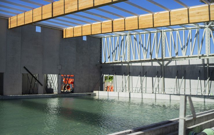 Oasis pool