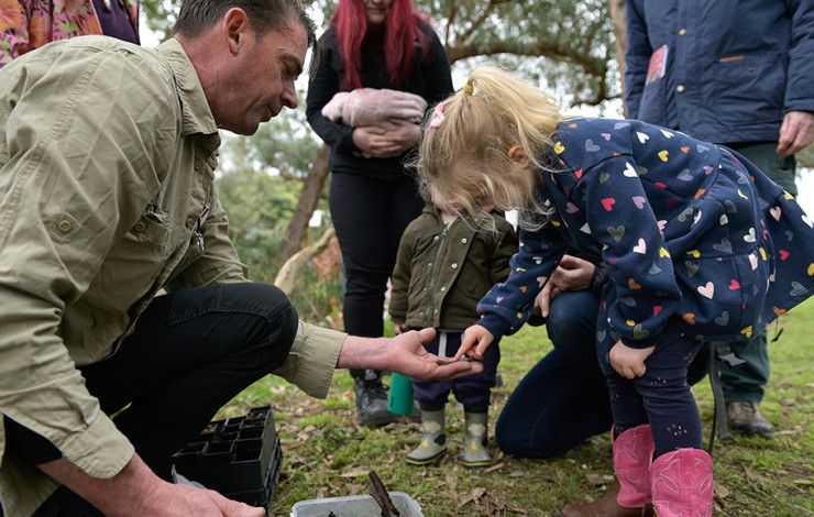 Children planting seedlings in the garden
