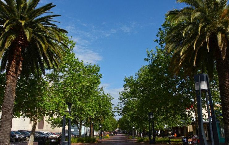 Palm Plaza