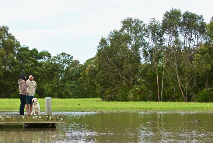 Couple walking dog near lake