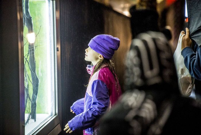 Children viewing art work