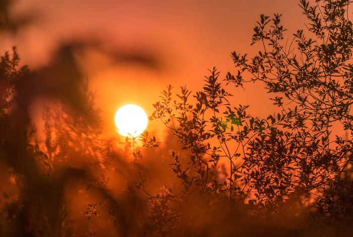 burning hot sun at sunset