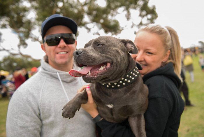 Happy dog being held by his family