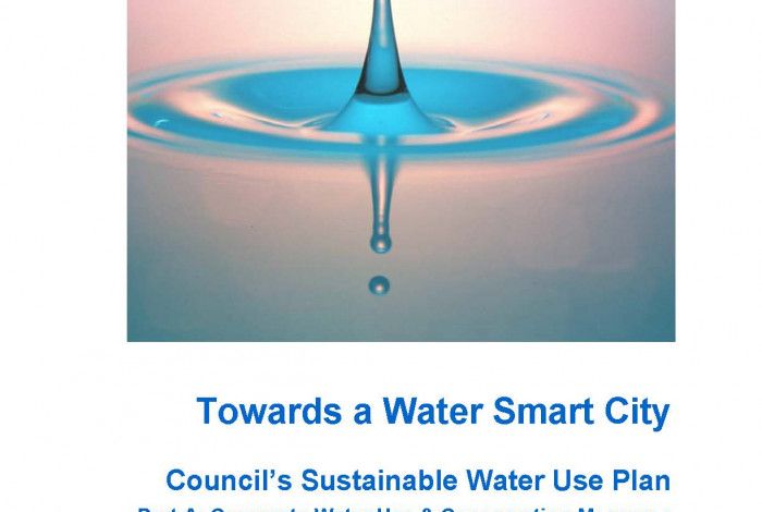 Towards a Water Safe City Cover