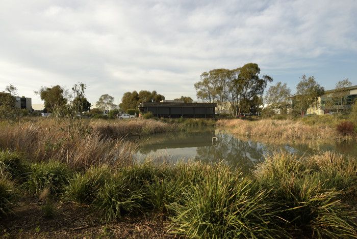 Dandenong South Estate wetland