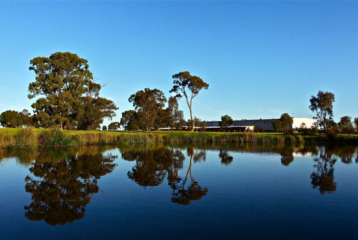 Wetland near Springers Leisure Centre