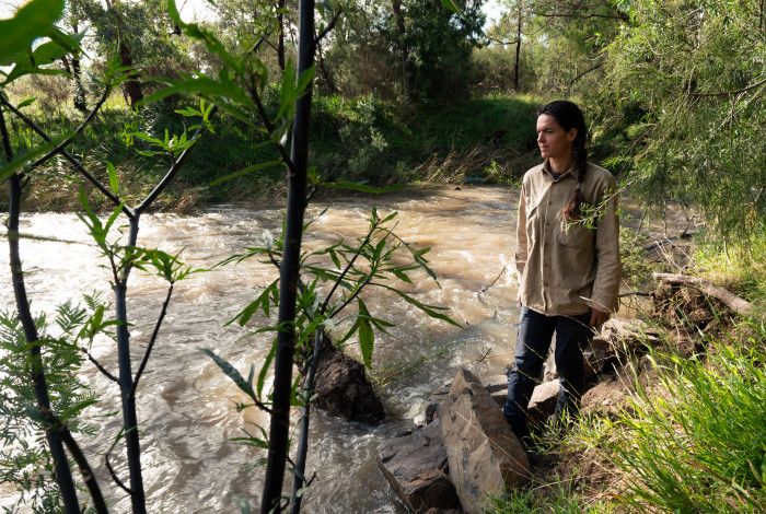 Ranger standing at Dandenong Creek