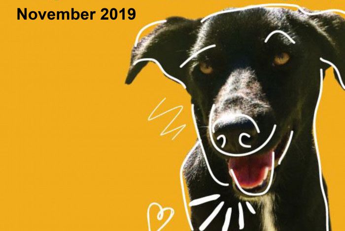 Greater Dandenong Dog Off-Leash Strategy 2019