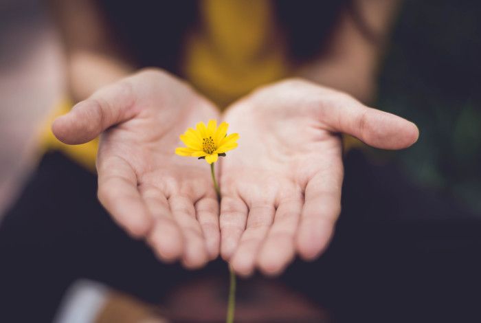 Someone's hands holding a flower in between