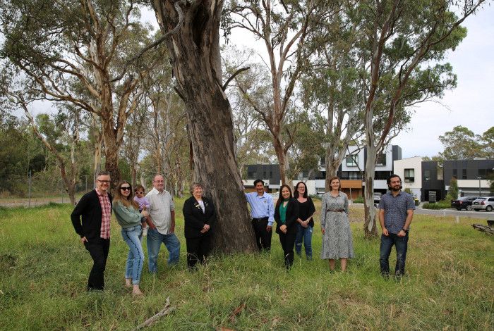 Residents and councillors with river red gums