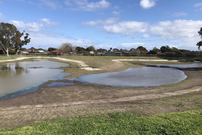 Frederick Wachter Wetlands