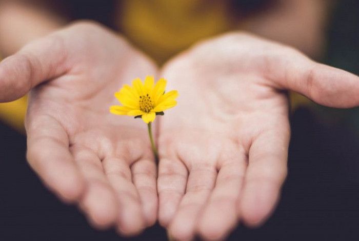 Hands holding a flower