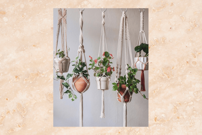 potted plants are hanging in a beautiful marame plant hangers 