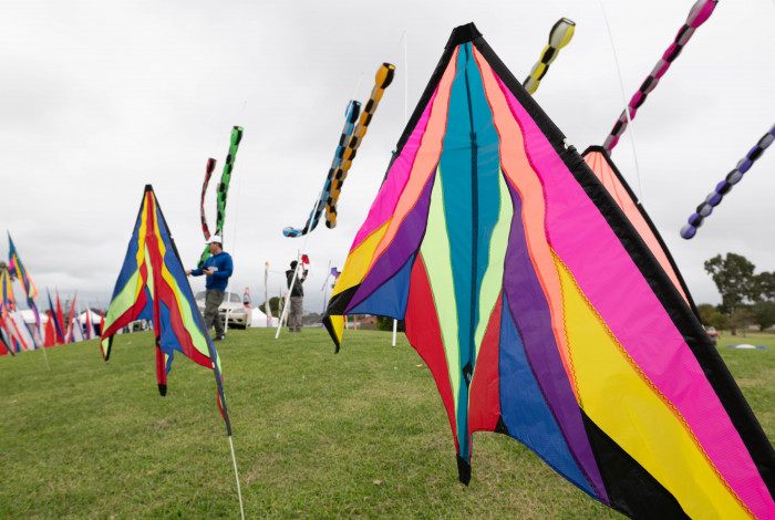 Colourful kites getting ready to take off