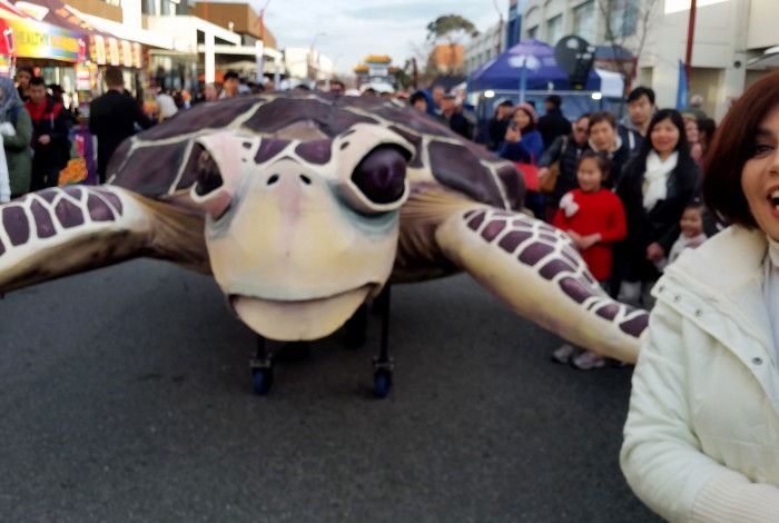 Large turtle puppet