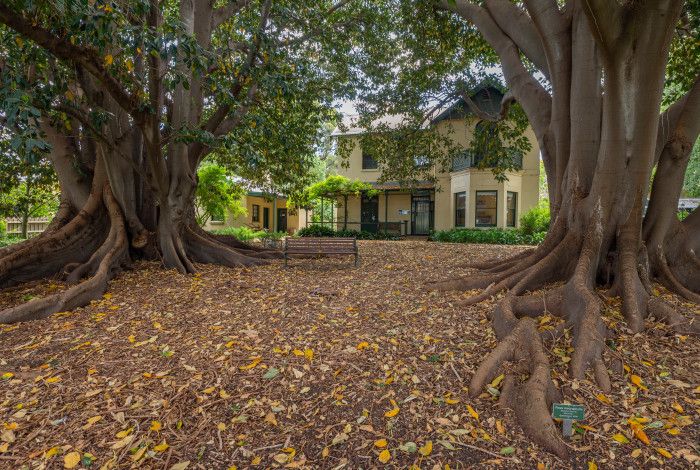 Heritage Hill building and trees