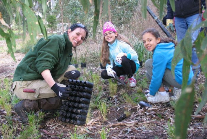 three people planting small plants in bushland