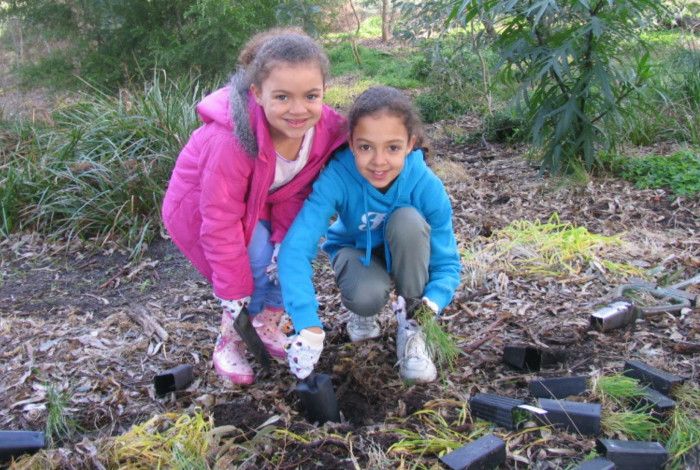 Two young girls planting small plants 