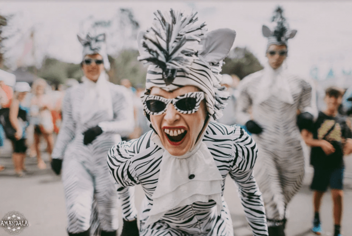 a person in zebra costume