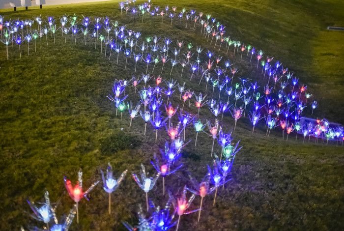 Harmony square illuminated