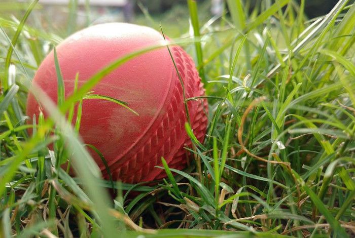 Cricket ball