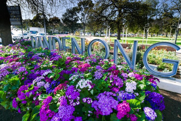 Dandenong Park in full bloom