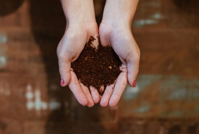 A pair of hands cupped together holding soil