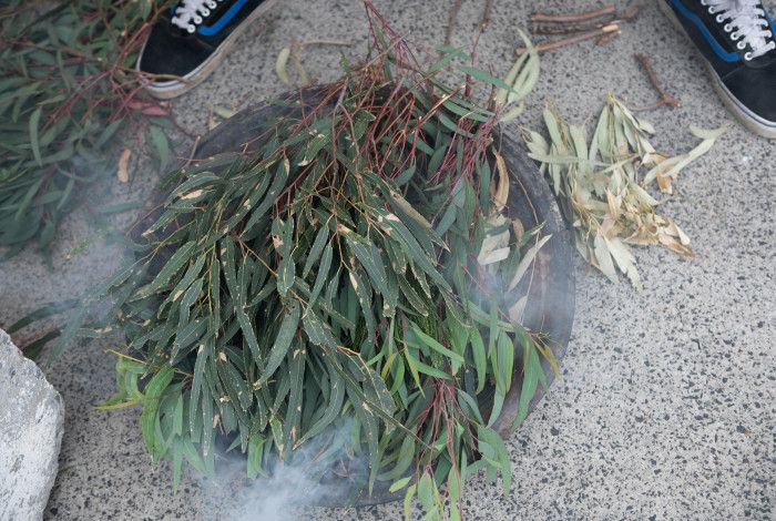 leaves in a dish during a smoking ceremony 