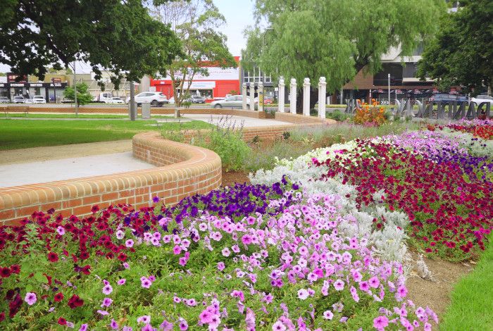 flowers in Dandenong park