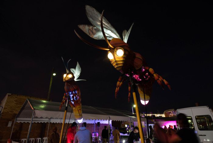 insects art and light display