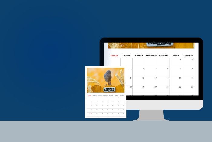 A graphic image of a paper calendar and an online calendar behind it 