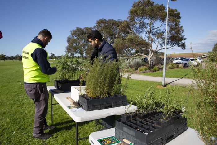 two people standing by a table of plants 