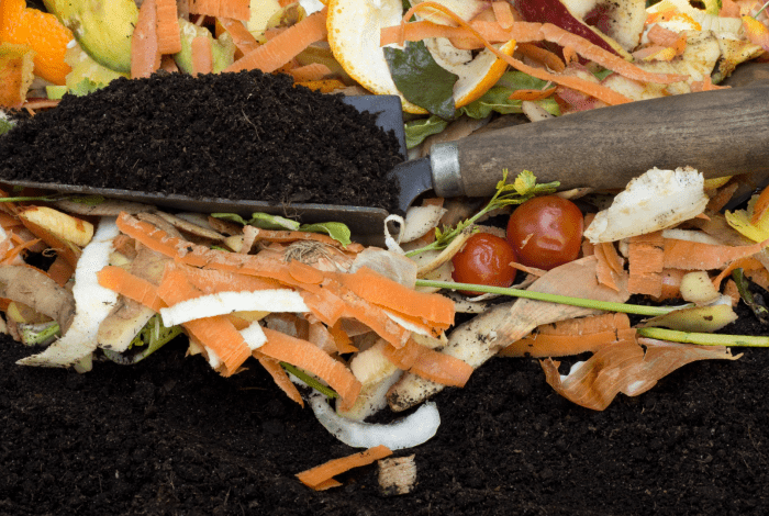 compost scraps and a trowel.