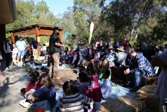 a group of people watching a wildlife show