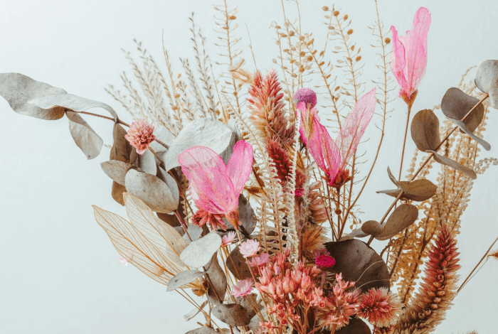 A posy of dried flowers against a white background.