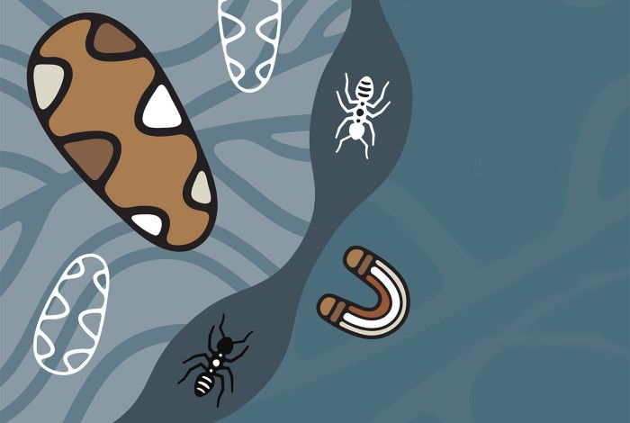 Aboriginal artwork