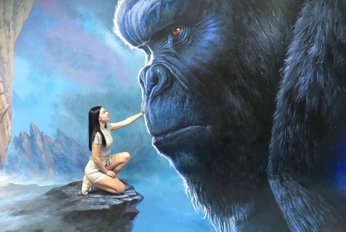 image of a lady touching a gorilla's face