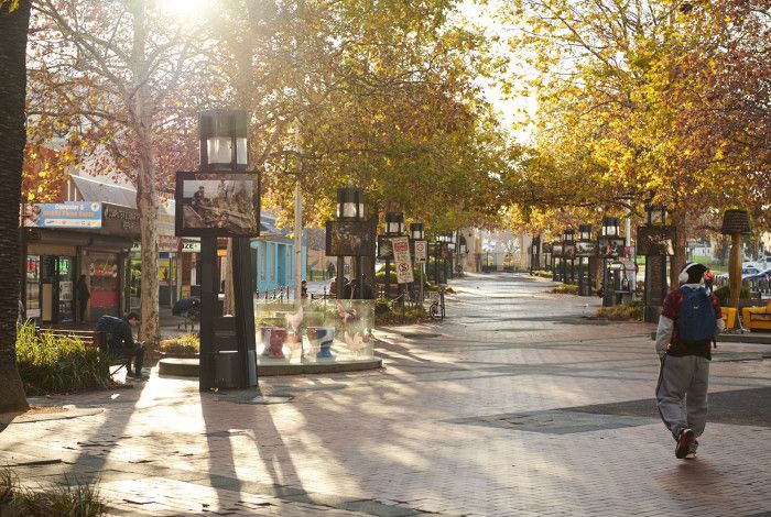 Art display in Palm Plaza