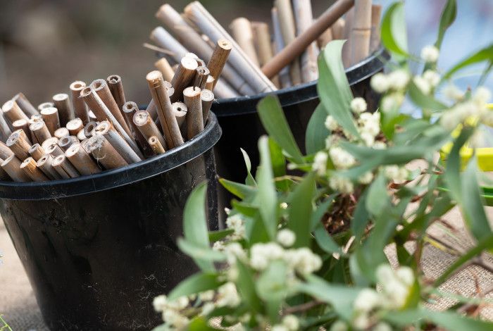 Gardening plants