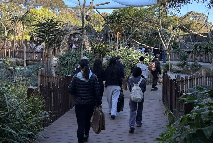 Young people walking through Melbourne Zoo