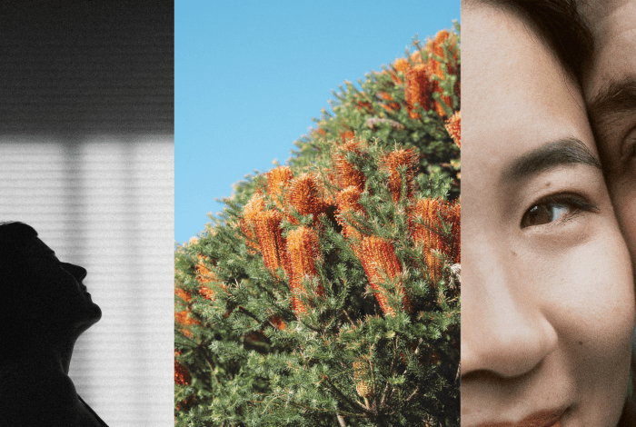 Three panel picture. The first a man's silhouette, the second a wattle tree, the third a close up of two peoples faces side by side. 