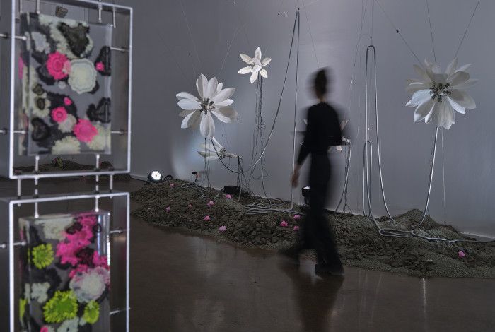 Someone looking at an art exhibition