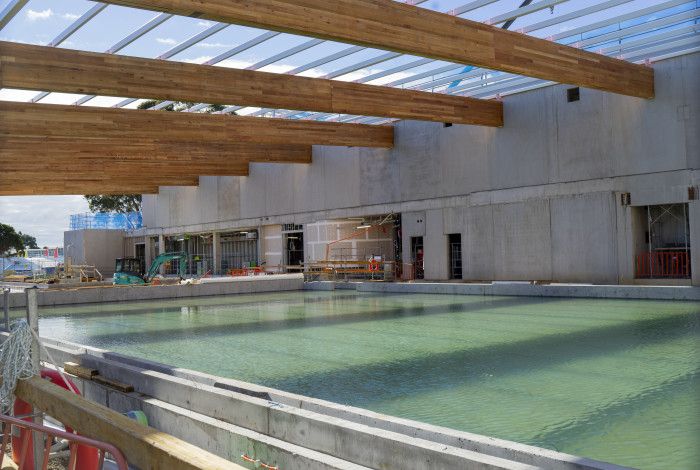 50 meter pool