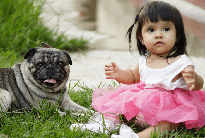 A child sitting on grass with a small dog.